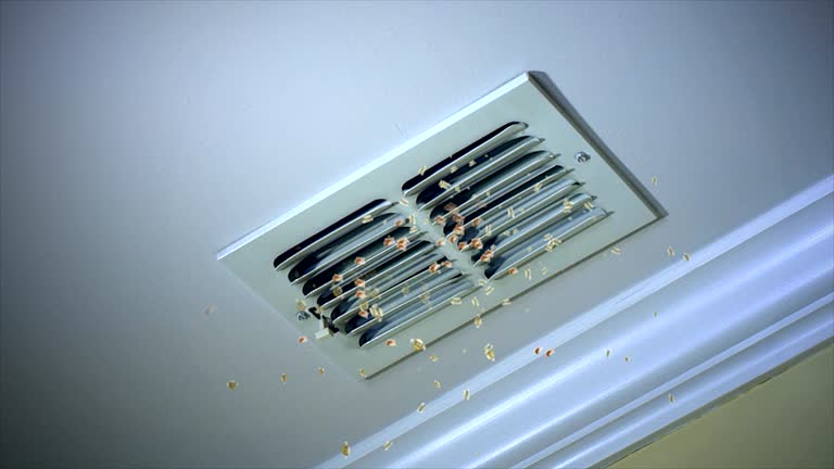 Best Commercial Air Duct Cleaning  in Goldsboro, NC