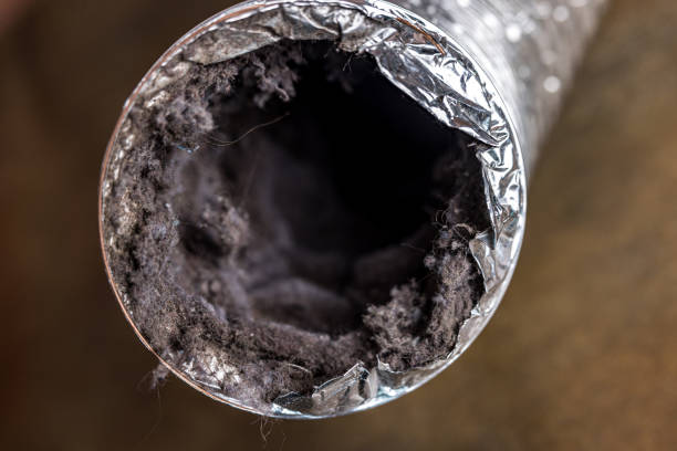 Best Air Duct Cleaning Near Me  in Goldsboro, NC